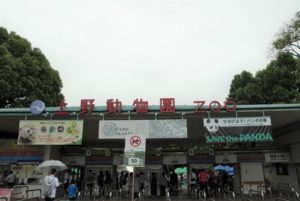 上野動物園-シャンシャン待ち時間