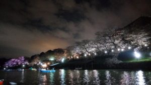 千鳥ヶ淵ボート場と夜桜(ライトアップ)