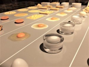 卵料理過程